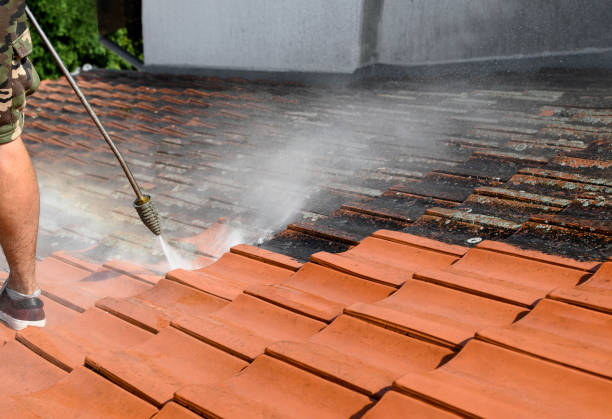 Best Sidewalk Pressure Washing  in Kula, HI