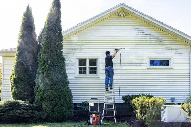Best Deck Cleaning Services  in Kula, HI