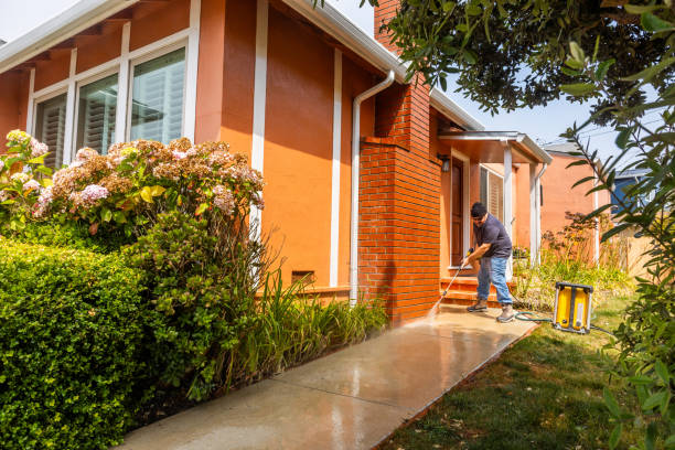 Best Pressure Washing Patio  in Kula, HI
