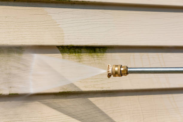 Deck Cleaning Services in Kula, HI